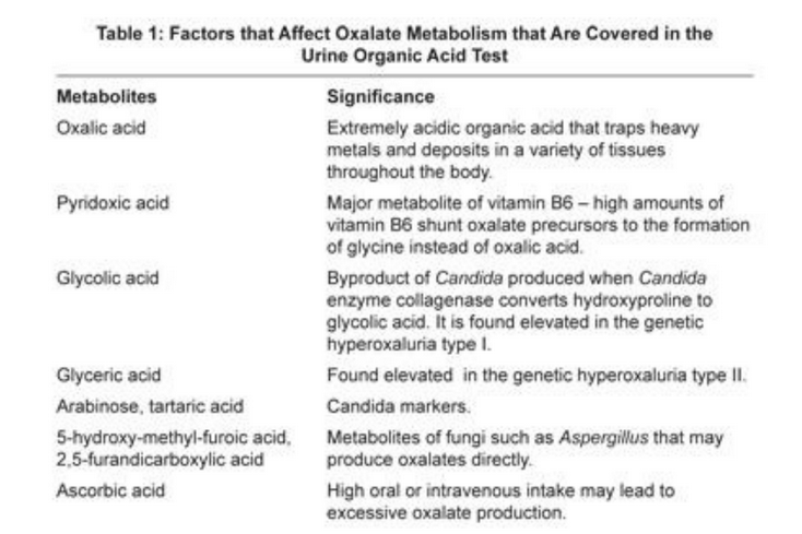 oxalate metabolism factors