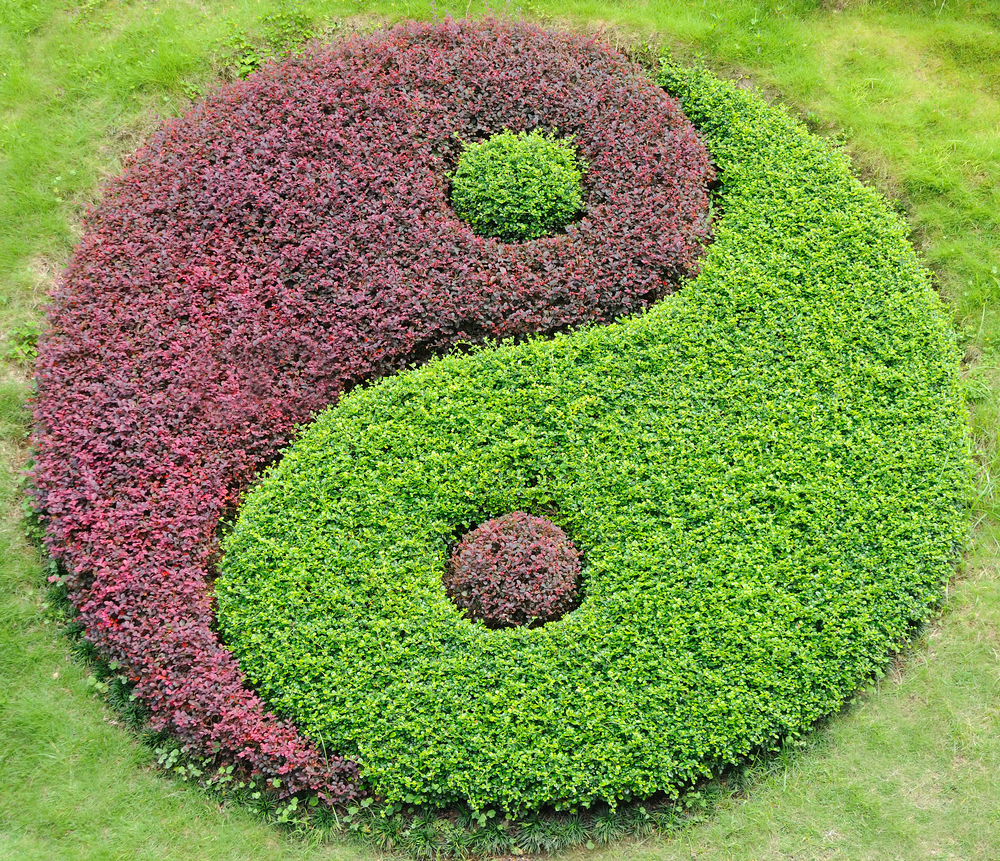 the-yin-and-yang-symbol-mindbody-medicine